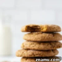 Ginger Sparks 8 Classic snickerdoodles and gingerbread cookies collide in these soft and chewy gingerdoodles that are heavenly paired with a cup of coffee!