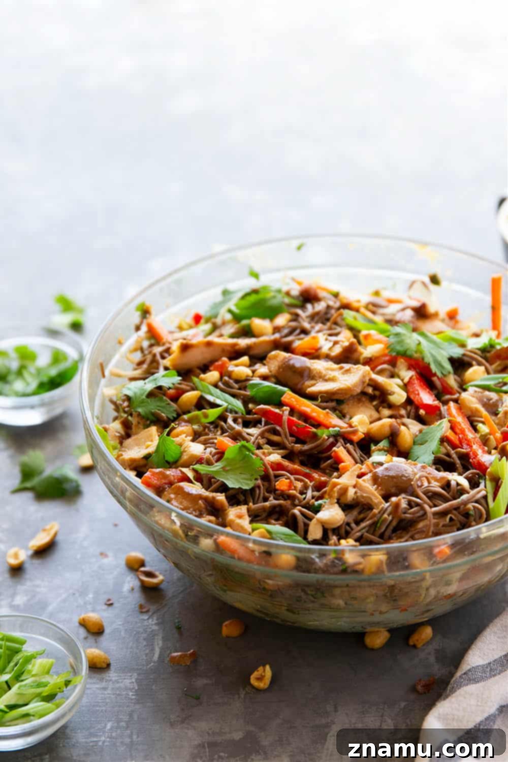 Satay Chicken Soba Noodle Salad 3 Thai Soba Noodle Salad is packed with a rainbow of fresh veggies, tender buckwheat soba noodles, juicy peanut grilled chicken, and a creamy peanut dressing.