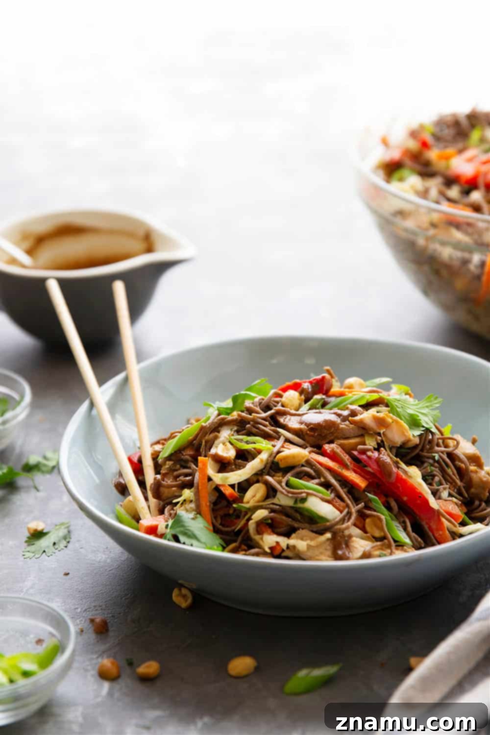 Satay Chicken Soba Noodle Salad 5 Thai Soba Noodle Salad is packed with a rainbow of fresh veggies, tender buckwheat soba noodles, juicy peanut grilled chicken, and a creamy peanut dressing.