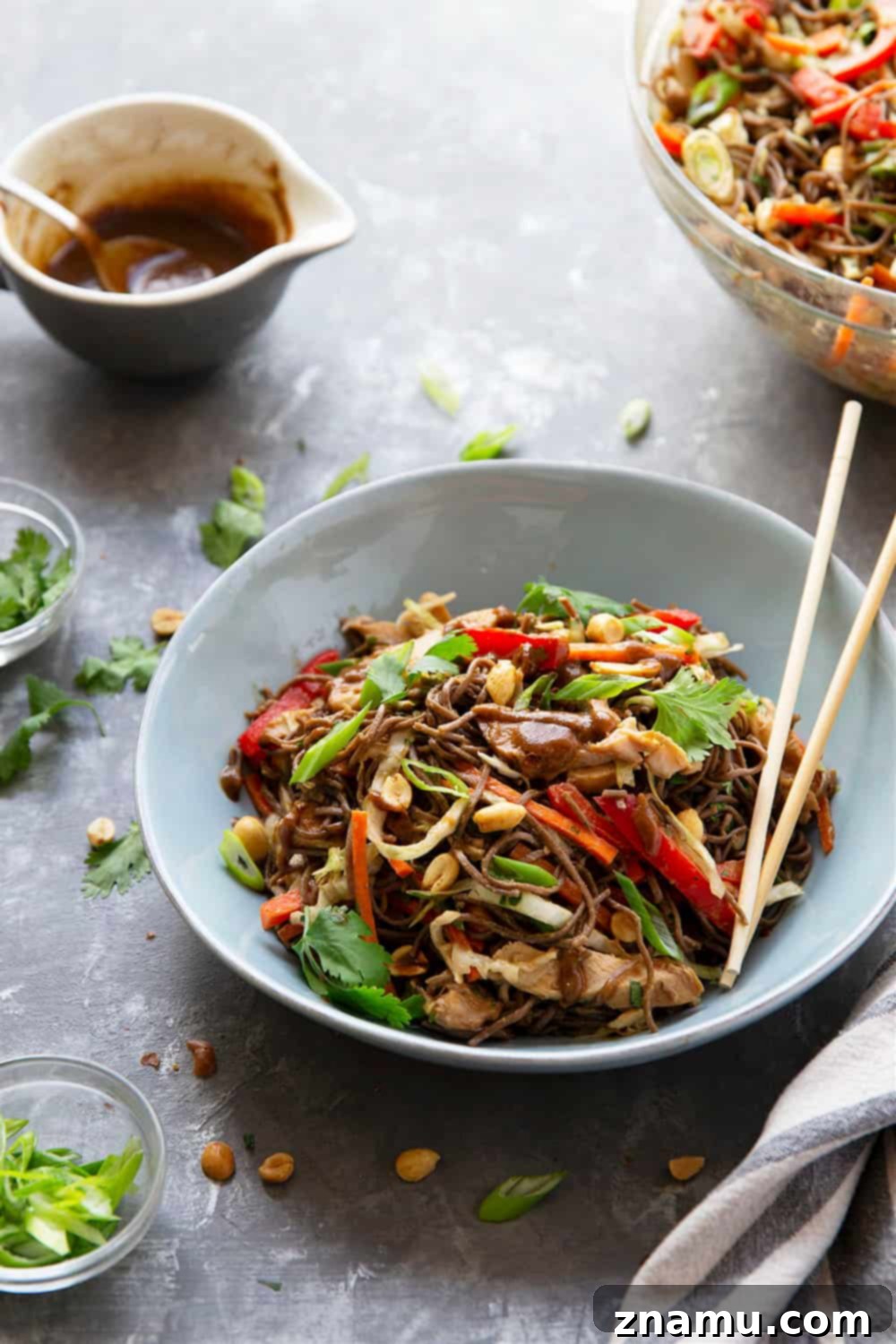 Satay Chicken Soba Noodle Salad 6 Thai Soba Noodle Salad is packed with a rainbow of fresh veggies, tender buckwheat soba noodles, juicy peanut grilled chicken, and a creamy peanut dressing.