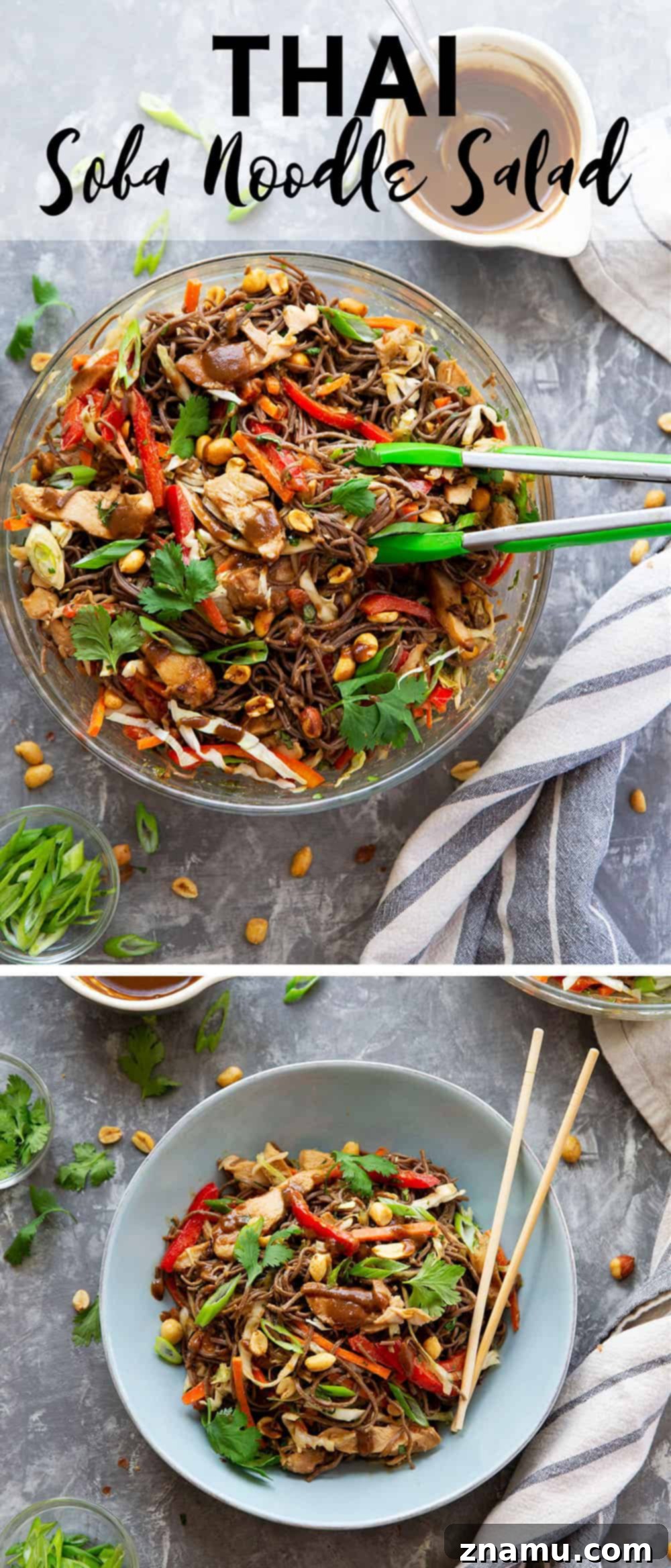 Satay Chicken Soba Noodle Salad 7 Thai Soba Noodle Salad is packed with a rainbow of fresh veggies, tender buckwheat soba noodles, juicy peanut grilled chicken, and a creamy peanut dressing.