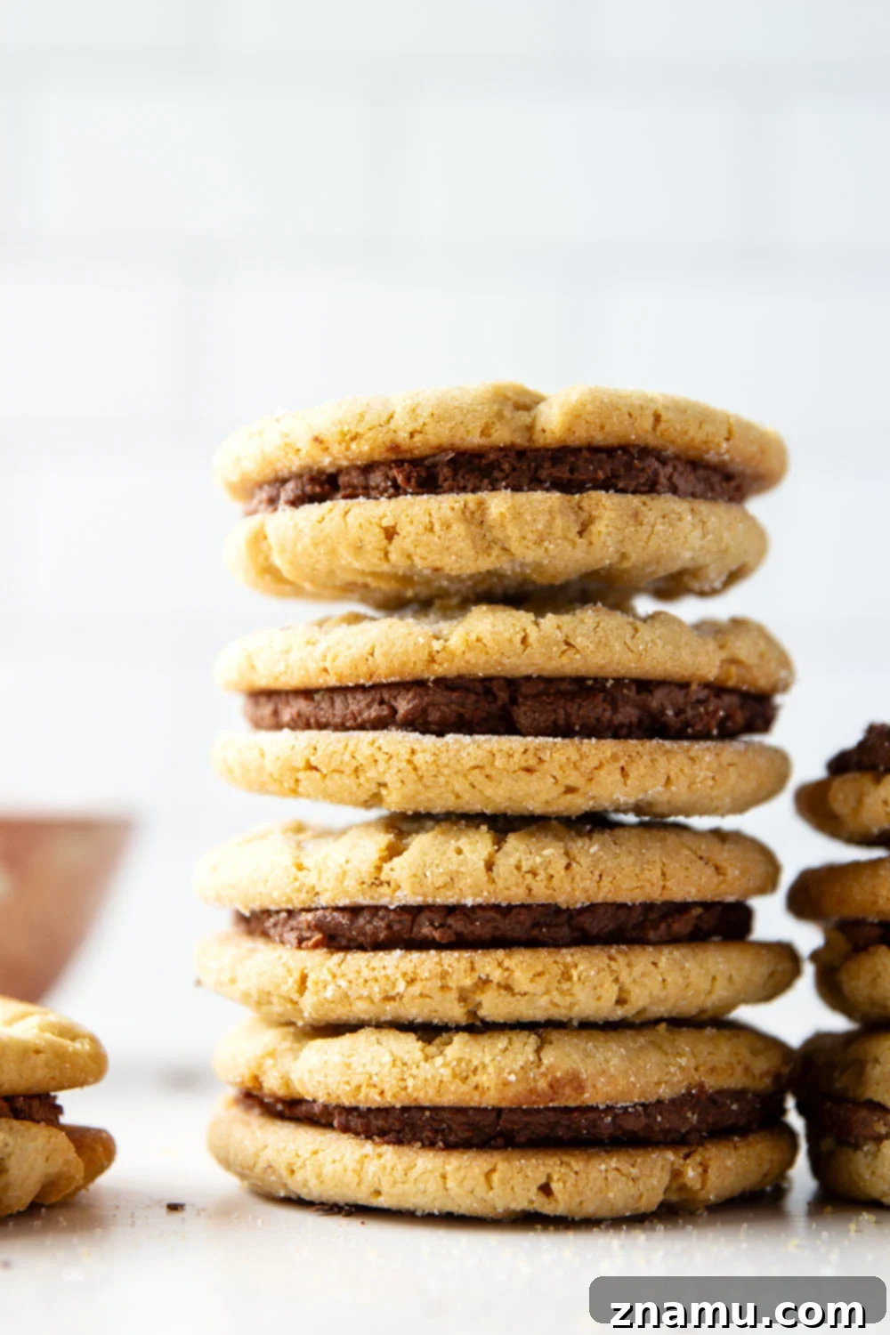 Crispy peanut butter cookies with fluffy whipped chocolate ganache filling