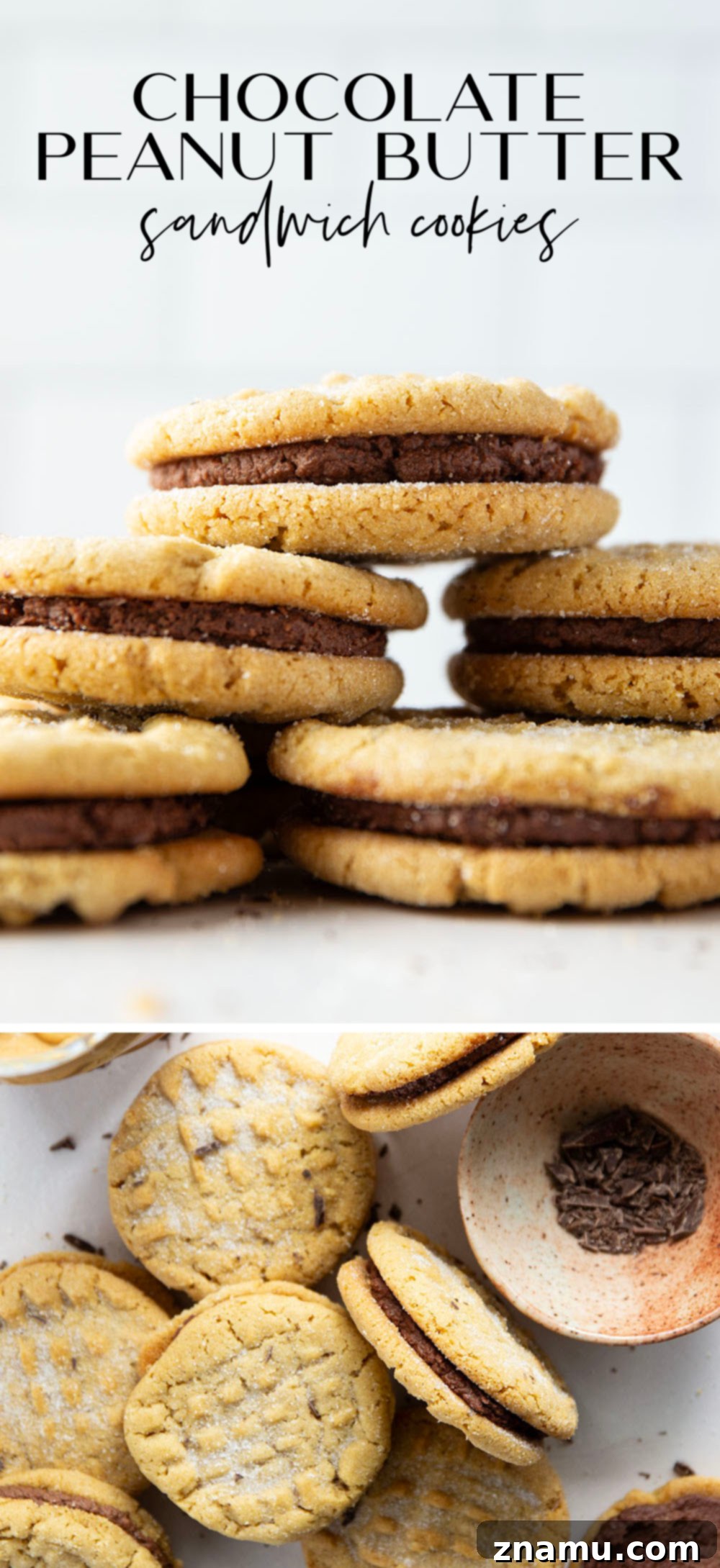 Close-up of a perfectly baked peanut butter cookie, ready for filling