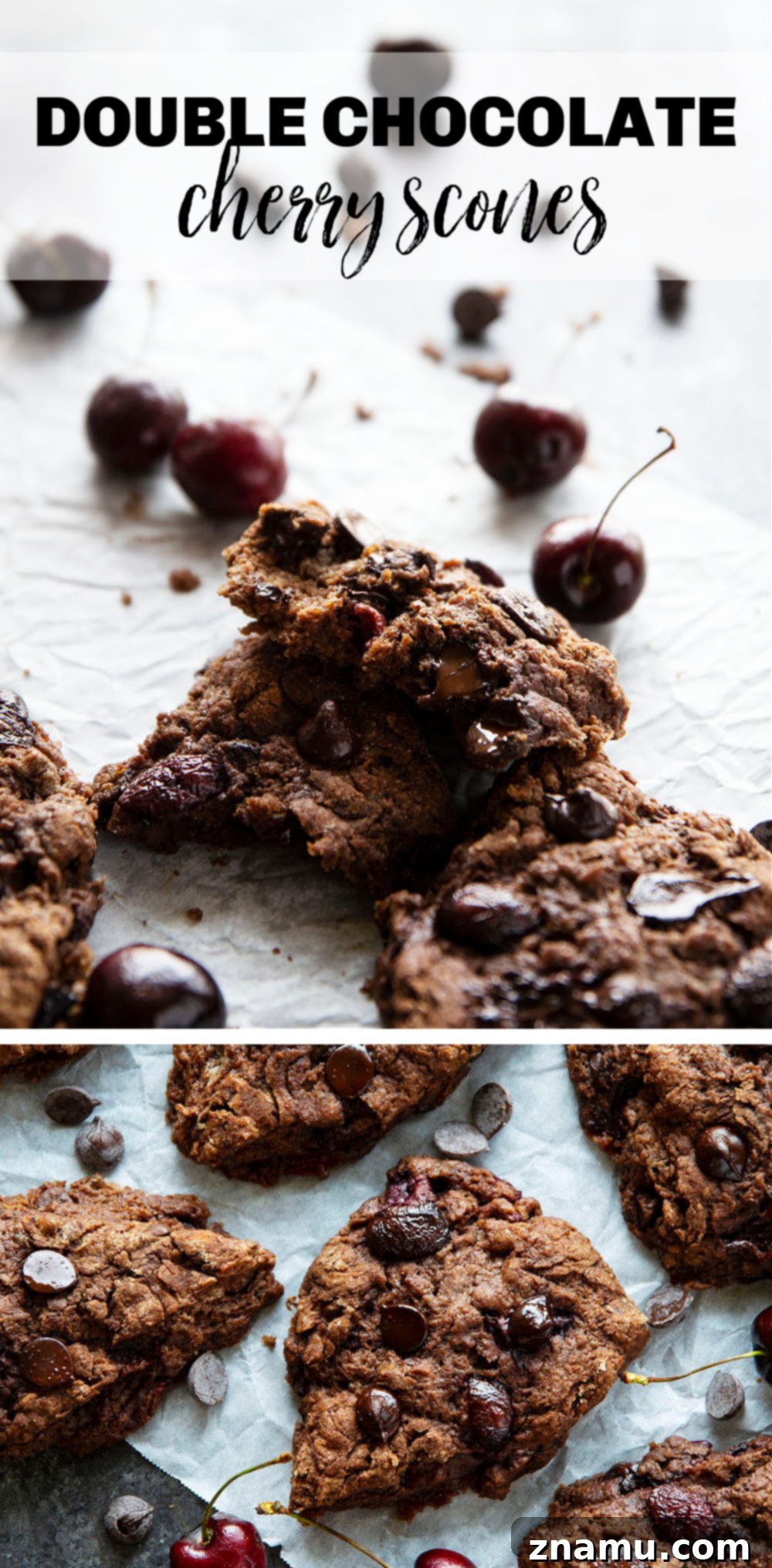 Decadent Double Chocolate Cherry Scones 7 Double Chocolate Cherry Scones served with coffee, ready for breakfast.