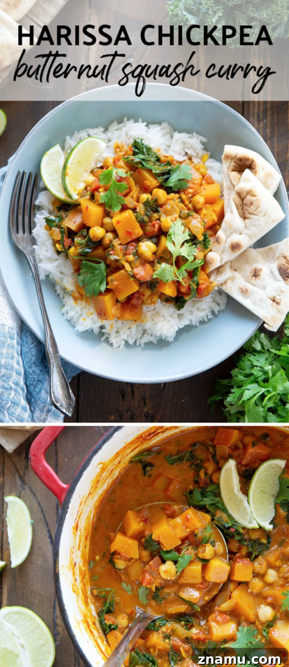 Harissa Spiced Butternut Squash Chickpea Pot 7 An overhead shot of a serving of Harissa Chickpea Butternut Squash Curry with fresh cilantro and a side of naan bread.