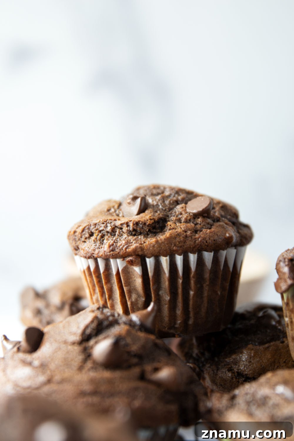 Decadent Double Chocolate Muffins 2 Freshly baked double chocolate muffins, rich and moist