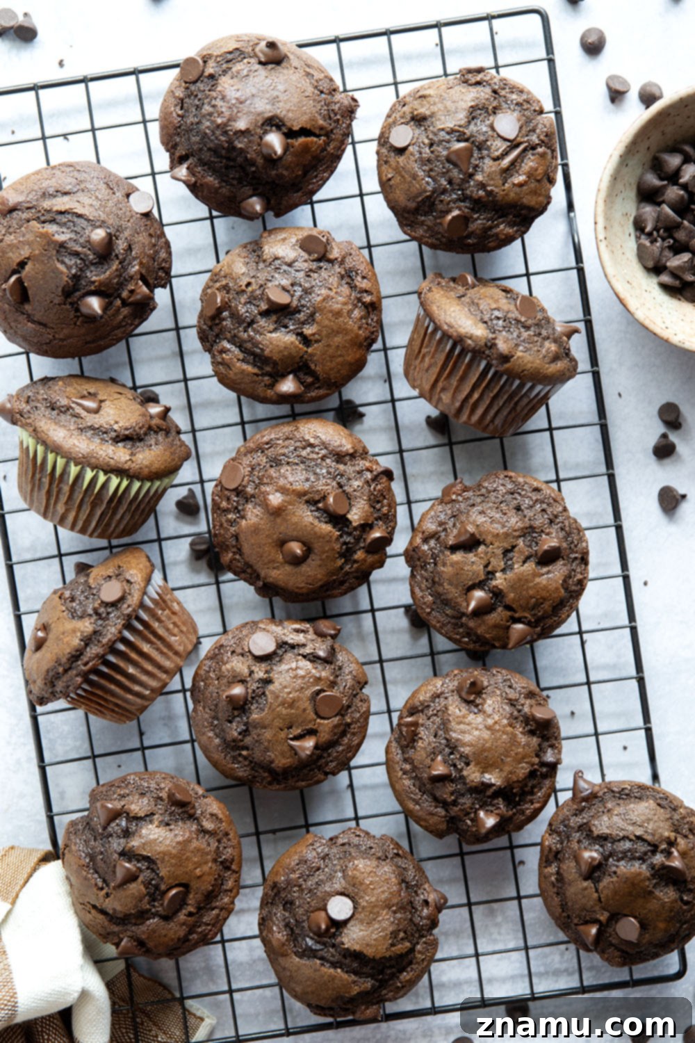 Decadent Double Chocolate Muffins 4 Delicious double chocolate muffins with chocolate chips