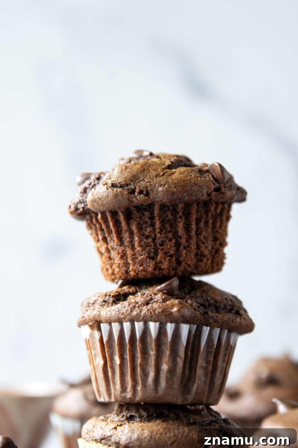Decadent Double Chocolate Muffins 5 Ingredients laid out for making double chocolate muffins