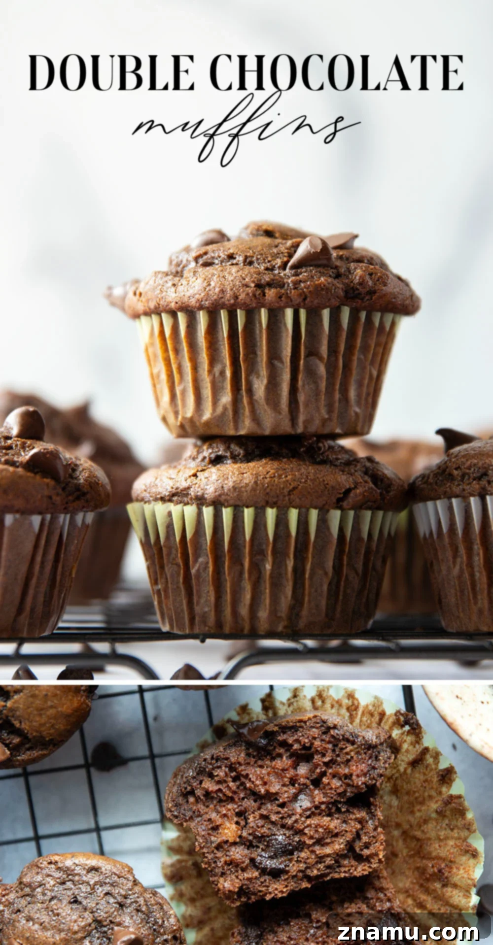 Decadent Double Chocolate Muffins 7 Delicious double chocolate muffins on a cooling rack