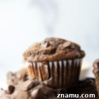 Packed with a double dose of chocolate and impossibly soft and rich, these double chocolate muffins are better than any bakery and so easy to make at home!