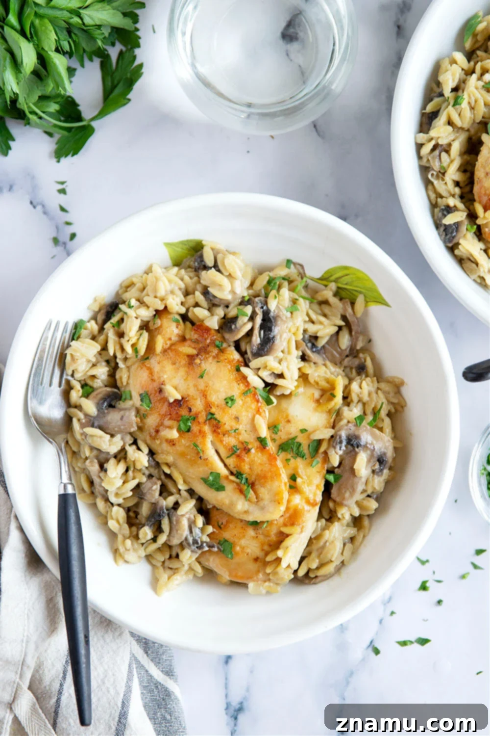 Creamy One-Pot Chicken Marsala Orzo 4 Close-up of One-Pot Chicken Marsala Orzo showing texture.
