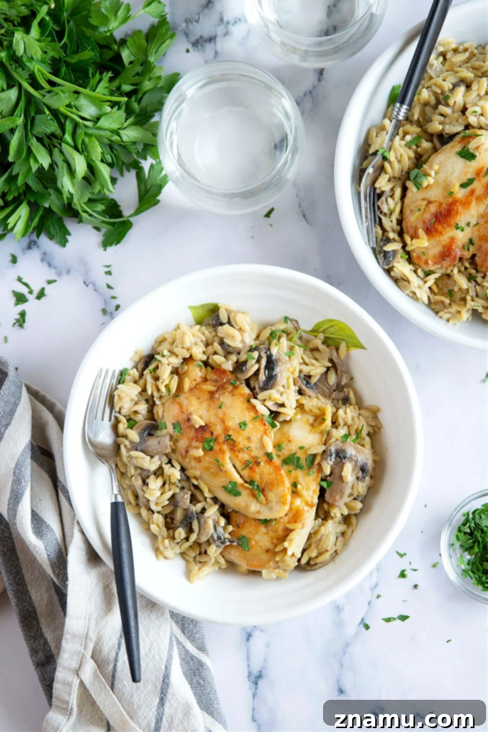 Creamy One-Pot Chicken Marsala Orzo 6 A serving of creamy One-Pot Chicken Marsala Orzo.