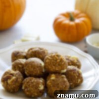 No Bake Pumpkin Energy Bites