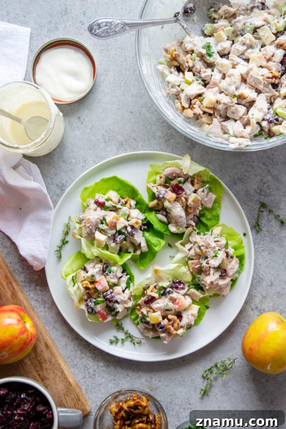 Gourmet Cranberry Apple Chicken Salad 2 A vibrant cranberry apple chicken salad, featuring tender chicken, crisp apples, toasted walnuts, and sweet dried cranberries, all coated in a creamy Greek yogurt dressing.