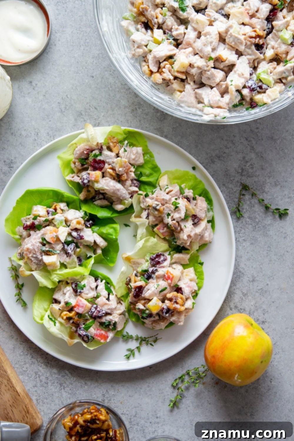 Gourmet Cranberry Apple Chicken Salad 5 Ingredients for cranberry apple chicken salad laid out: cooked chicken, apples, cranberries, walnuts, celery, and dressing components.