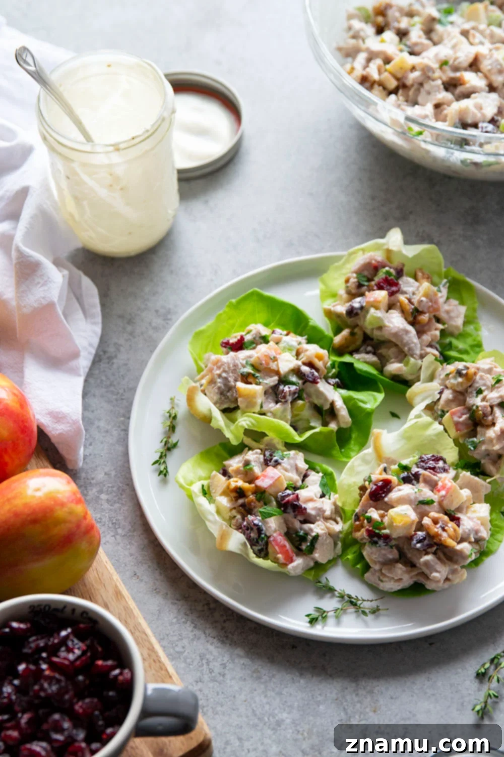 Gourmet Cranberry Apple Chicken Salad 6 Cranberry apple chicken salad served in a sandwich bun with fresh greens.