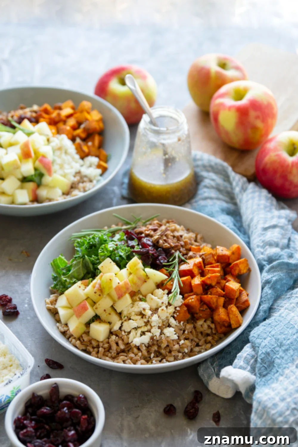 Roasted Sweet Potato and Apple Harvest Grain Bowls 3 Overhead view of a loaded Harvest Grain Bowl, rich with fall ingredients