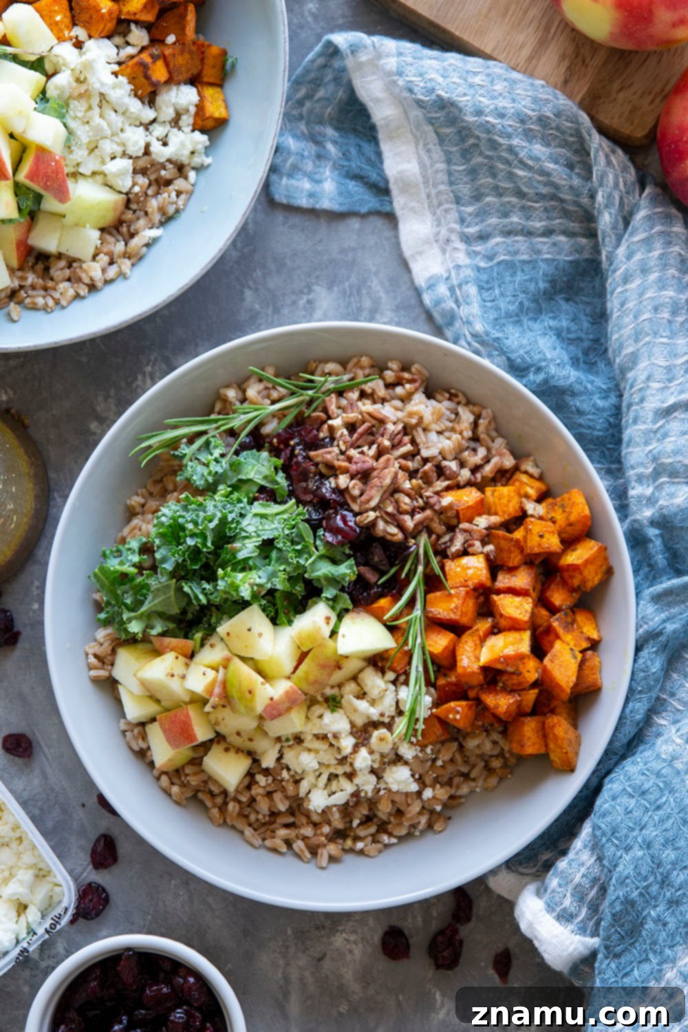 Roasted Sweet Potato and Apple Harvest Grain Bowls 4 Close-up of a Harvest Grain Bowl showing roasted sweet potatoes, kale, and grains