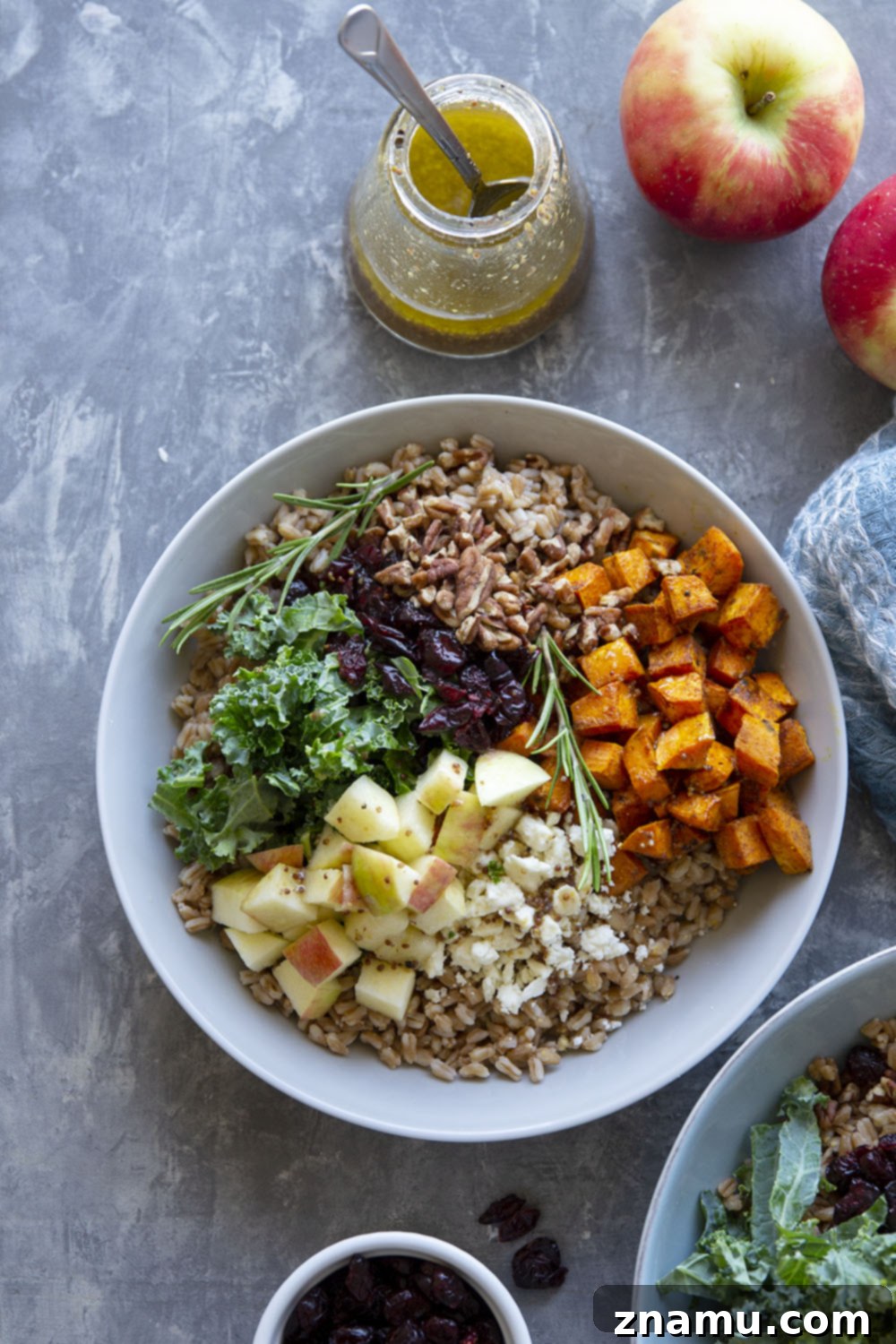 Roasted Sweet Potato and Apple Harvest Grain Bowls 6 Harvest Grain Bowl with all components arranged beautifully