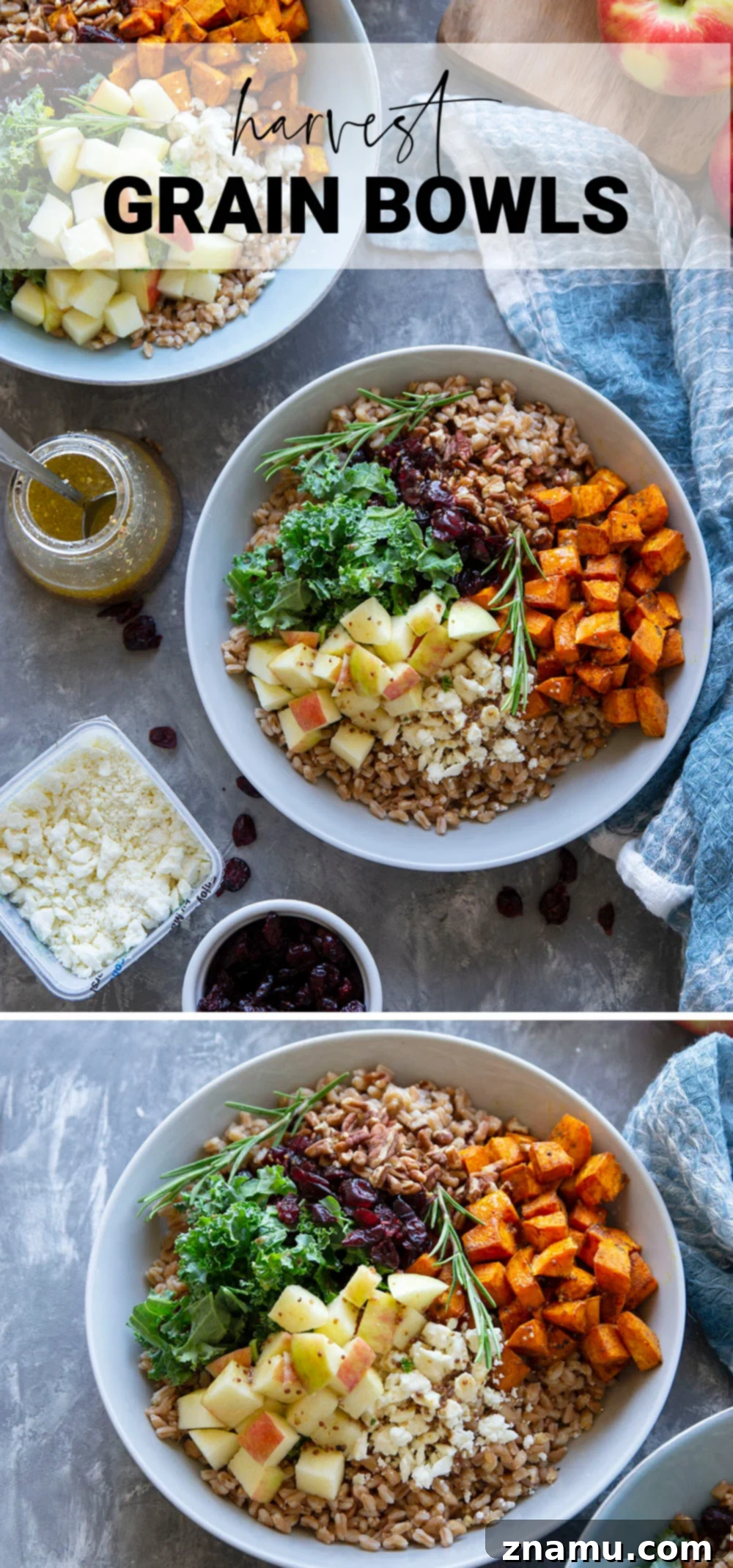Roasted Sweet Potato and Apple Harvest Grain Bowls 7 Beautifully plated Harvest Grain Bowl, ready to be enjoyed