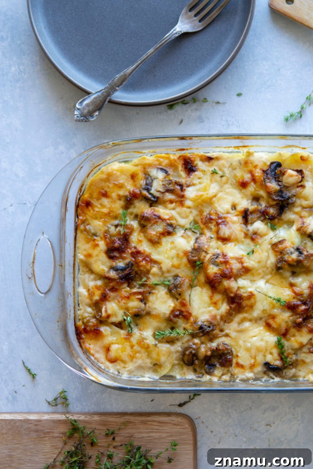 Close-up of bubbling hot Caramelized Onion Scalloped Potatoes with Mushrooms, showcasing the golden-brown cheese crust and tender layers.