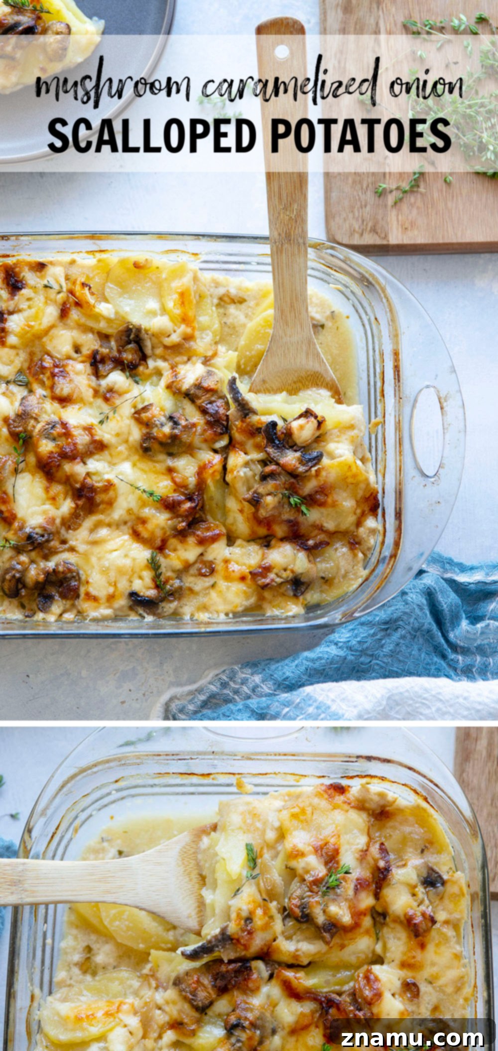 Plated serving of Caramelized Onion Scalloped Potatoes with Mushrooms, showing distinct layers and a rich, cheesy texture.