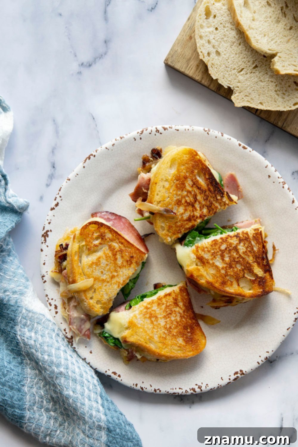 Sweet & Savory Turkey Brie Panini 2 Gourmet Turkey Brie Panini with Caramelized Onions and Cranberry Mustard