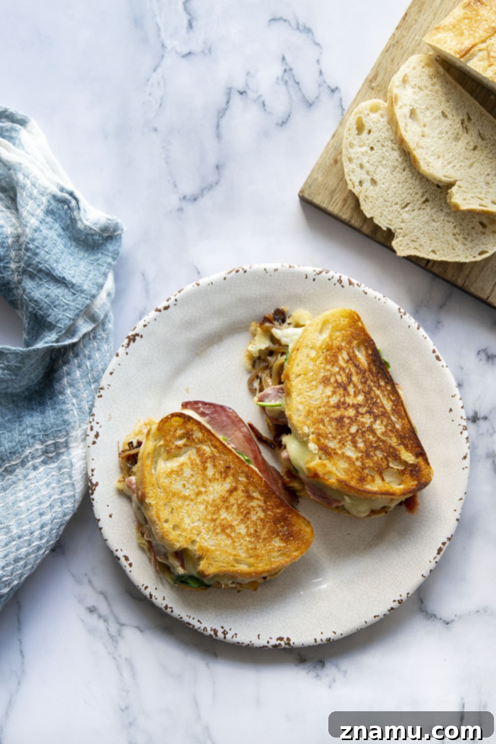 Sweet & Savory Turkey Brie Panini 5 Expertly Grilled Turkey Brie Panini