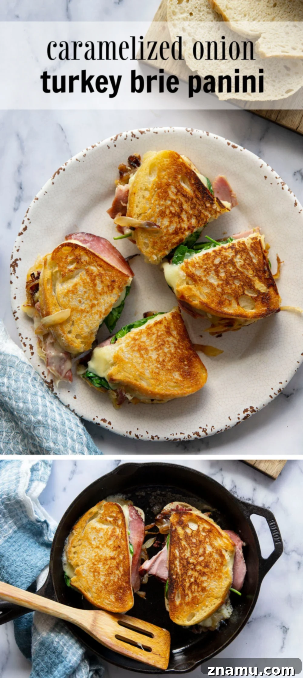 Sweet & Savory Turkey Brie Panini 7 Beautifully Presented Turkey Brie Panini