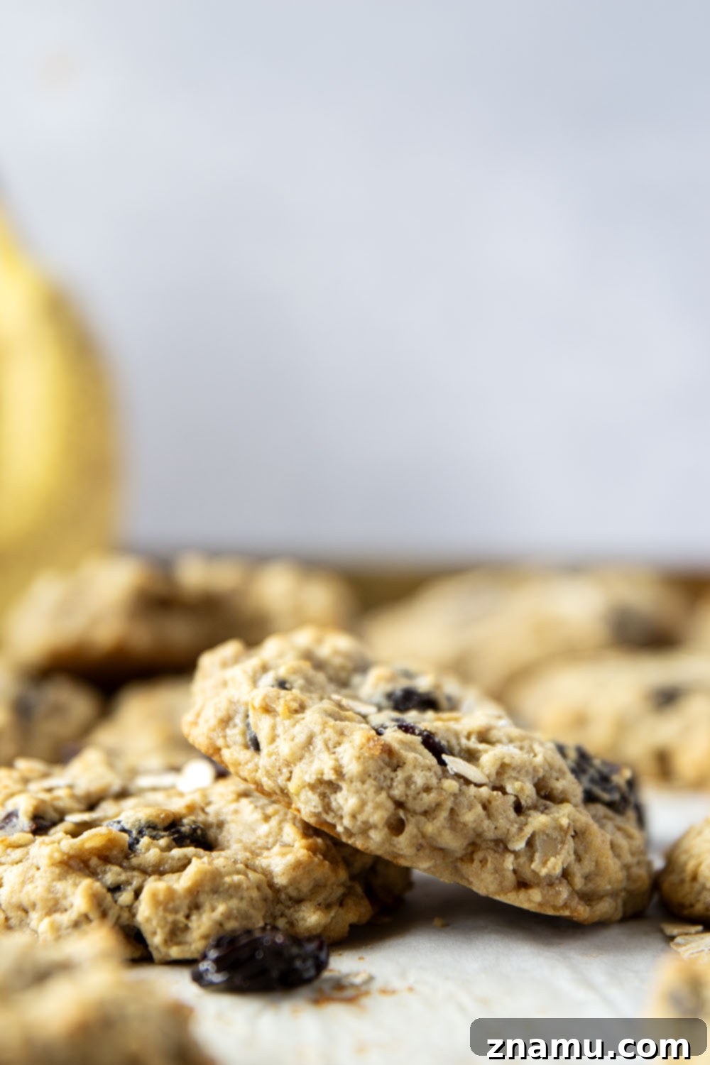 Delicious Banana Cherry Oatmeal Cookies 3 Three freshly baked banana cherry oatmeal cookies arranged beautifully on a rustic white plate, emphasizing their golden brown edges and soft centers.