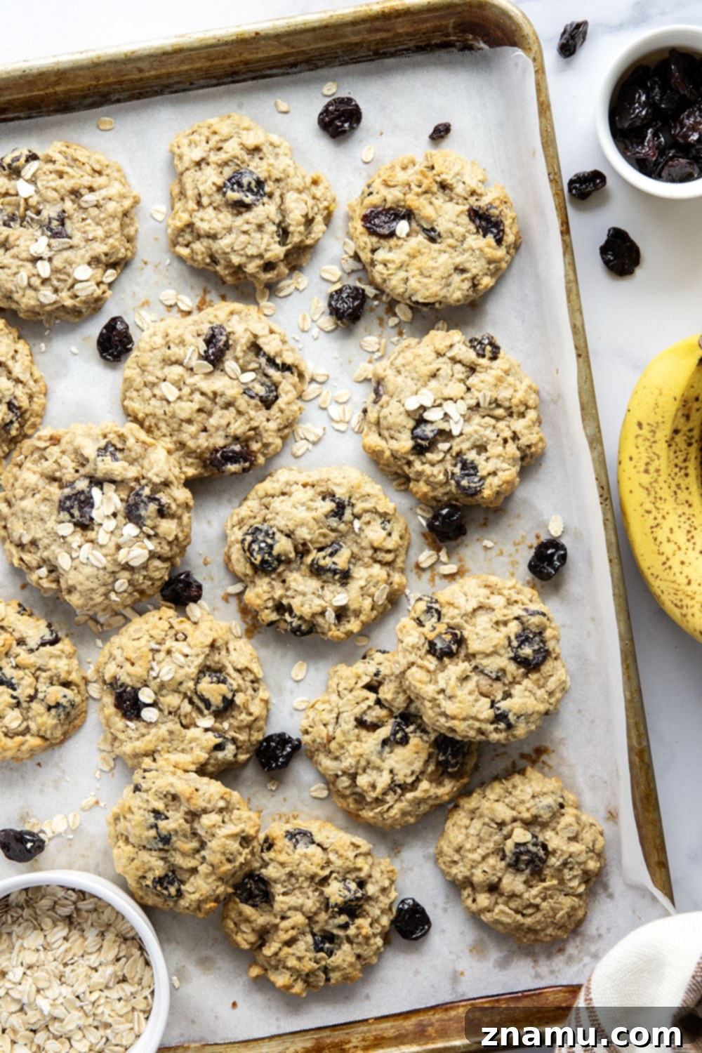 Delicious Banana Cherry Oatmeal Cookies 4 A close-up of the interior texture of a banana cherry oatmeal cookie, showing the mashed banana and whole oats.