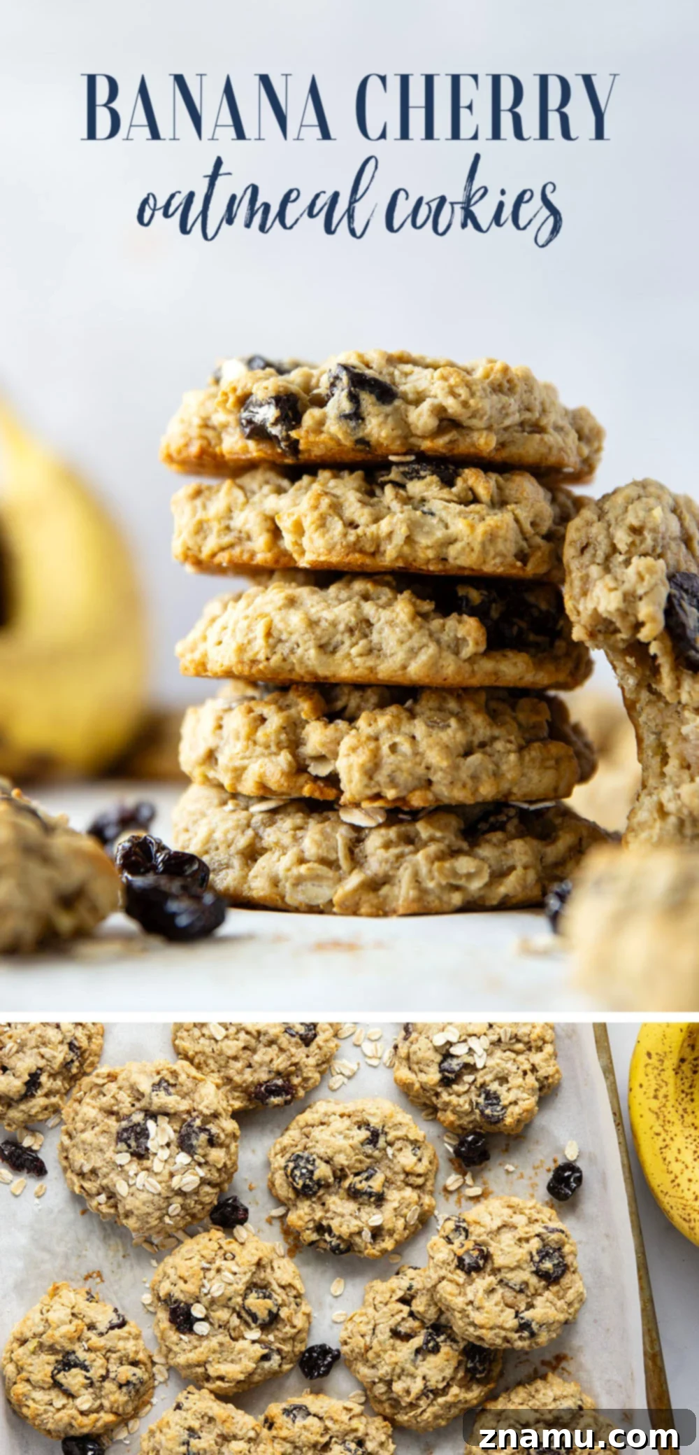 Delicious Banana Cherry Oatmeal Cookies 7 An overhead shot of several banana cherry oatmeal cookies on a cooling rack, showcasing their rustic charm and delicious texture.