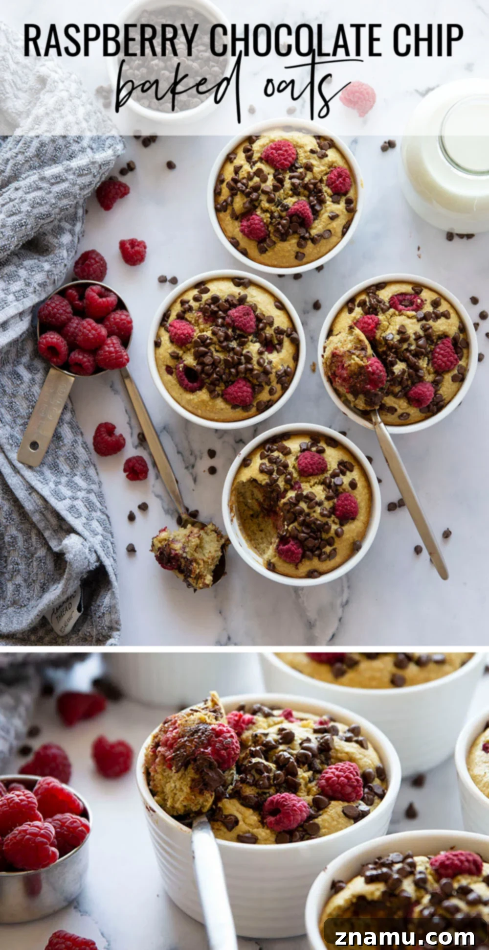 Raspberry Chocolate Chip Oat Delight 7 A side shot of a Raspberry Chocolate Chip Baked Oat in a ramekin, showing its height and cake-like texture.