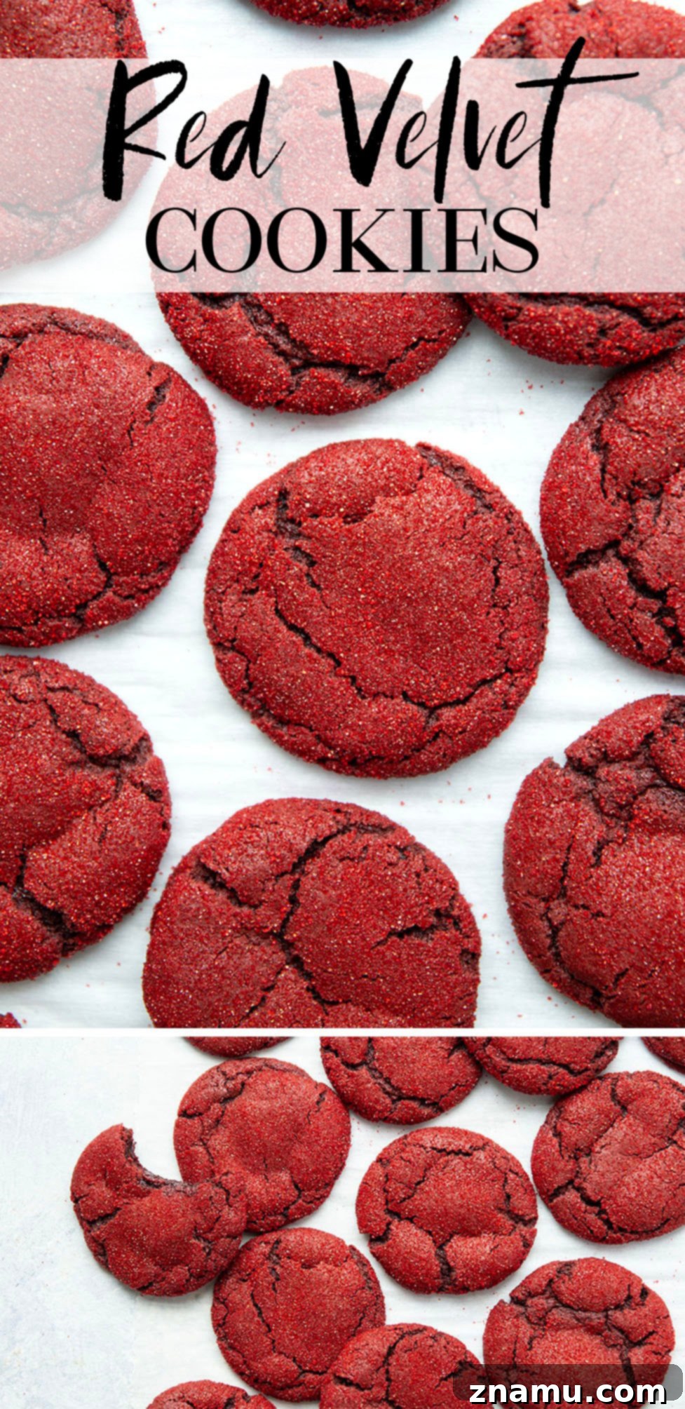 Crimson Velvet Delights 7 A close-up of a hand holding a red velvet cookie, with more cookies blurred in the background, emphasizing the cookie's texture and color.