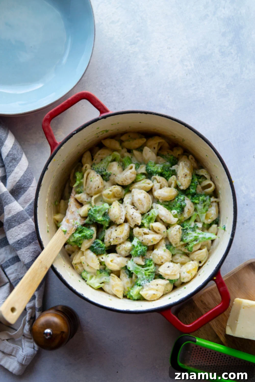 Creamy White Cheddar Broccoli Shells 3 A close-up of White Cheddar Broccoli and Shells, showcasing the creamy sauce clinging to the pasta and bright green broccoli florets.