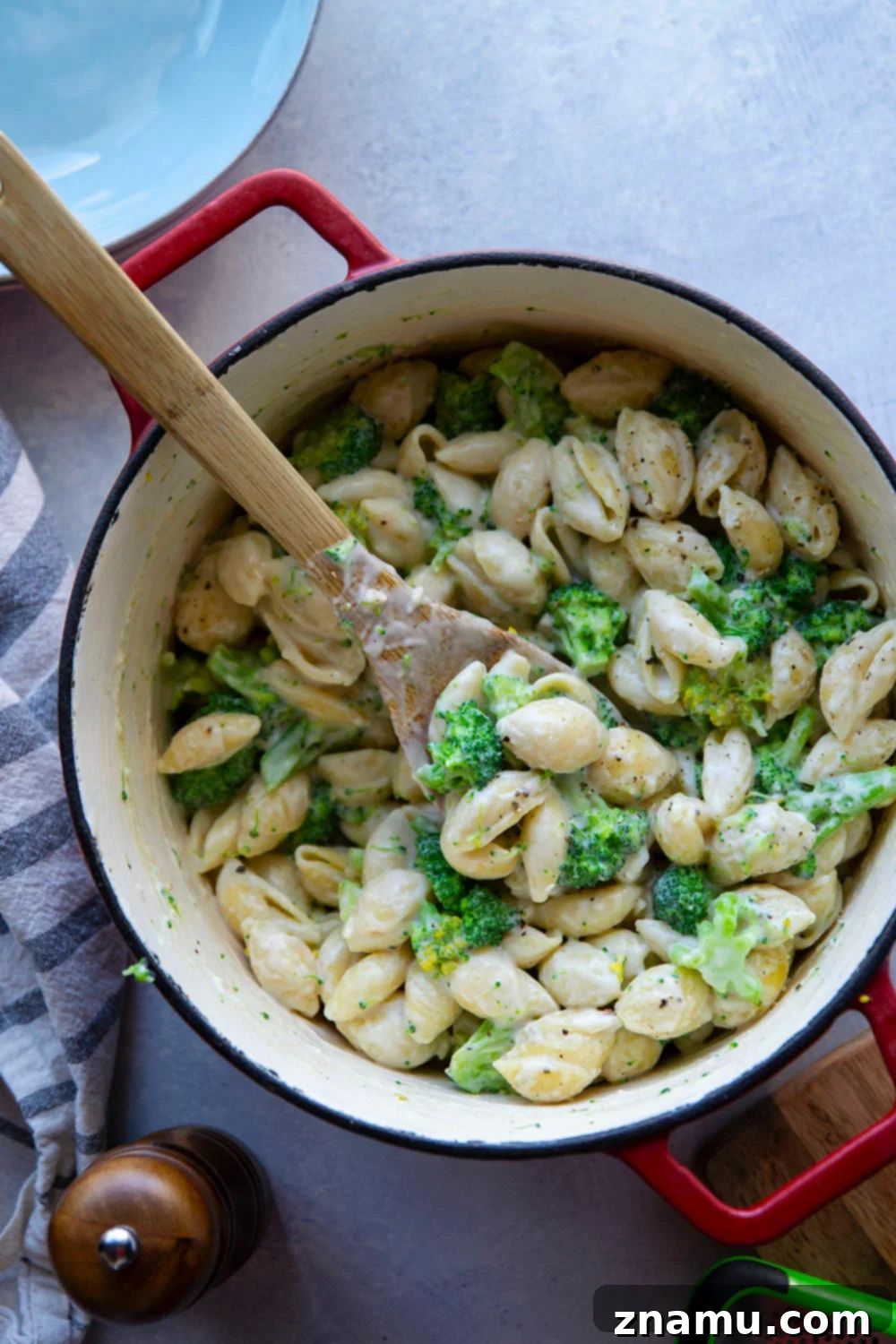 Creamy White Cheddar Broccoli Shells 6 White cheddar broccoli and shells served in a white bowl with a fork, ready to eat.