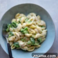 Creamy White Cheddar Broccoli Shells 8 White cheddar broccoli and shells is ready for the dinner table in only 30 minutes and features tender shells and broccoli in a rich white cheddar sauce.