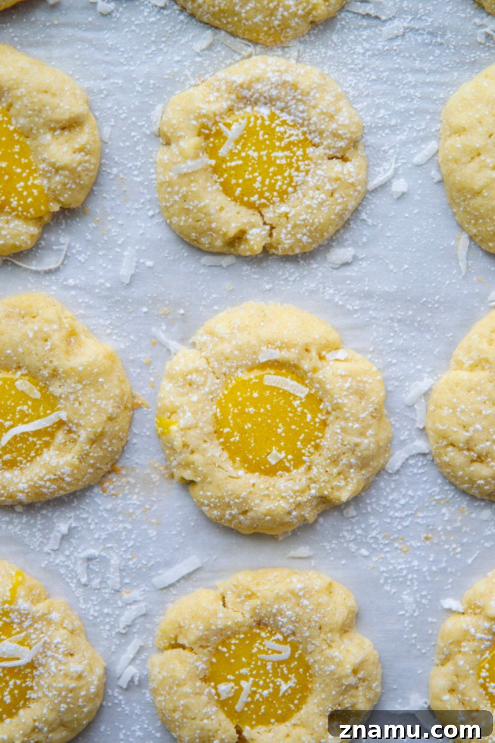 Coconut Lemon Curd Thumbprints 3 A plate of freshly baked lemon curd thumbprint cookies, dusted with powdered sugar, ready to be served.