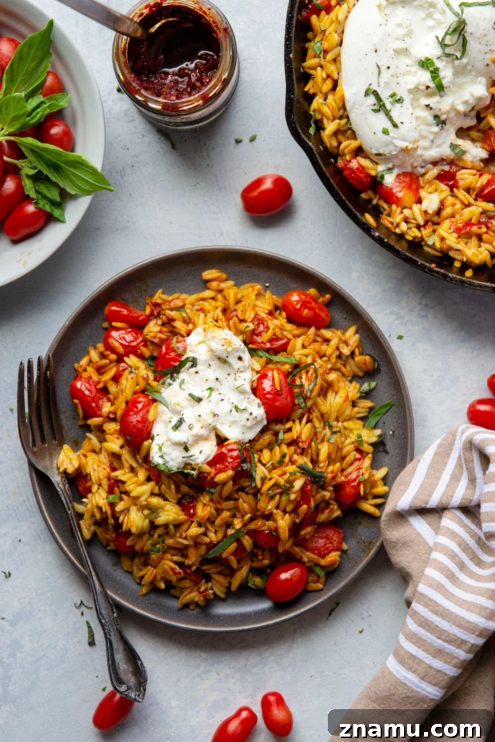 Harissa Cherry Tomato Orzo with a Burst of Burrata 2 Vibrant cherry tomato orzo skillet with burrata and fresh herbs