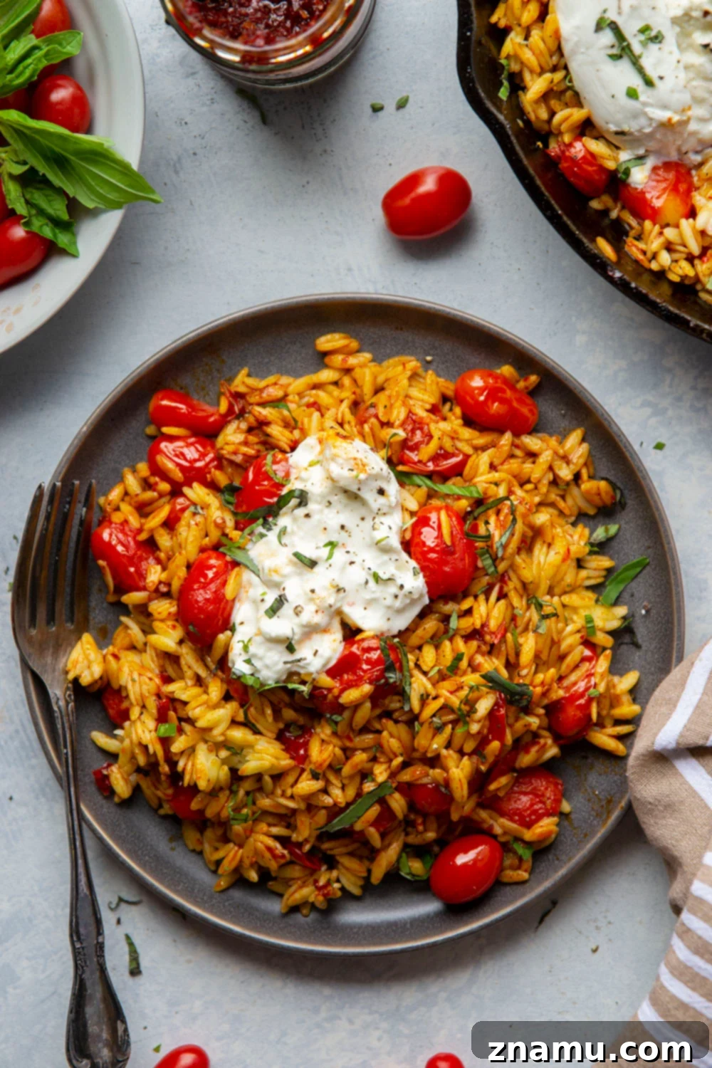 Harissa Cherry Tomato Orzo with a Burst of Burrata 5 Harissa paste and fresh cherry tomatoes for the orzo recipe