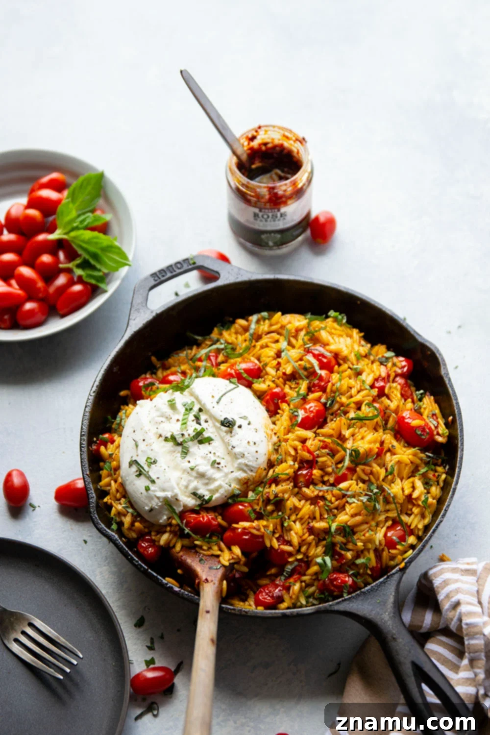 Harissa Cherry Tomato Orzo with a Burst of Burrata 6 Close-up of Harissa Cherry Tomato Orzo with melting burrata cheese