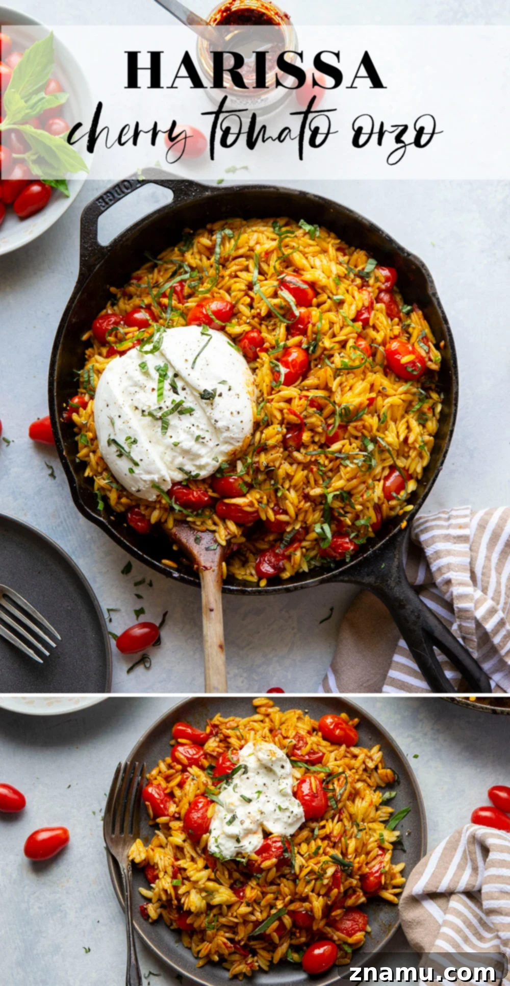 Harissa Cherry Tomato Orzo with a Burst of Burrata 7 Prepared Harissa Cherry Tomato Orzo Skillet with serving spoon