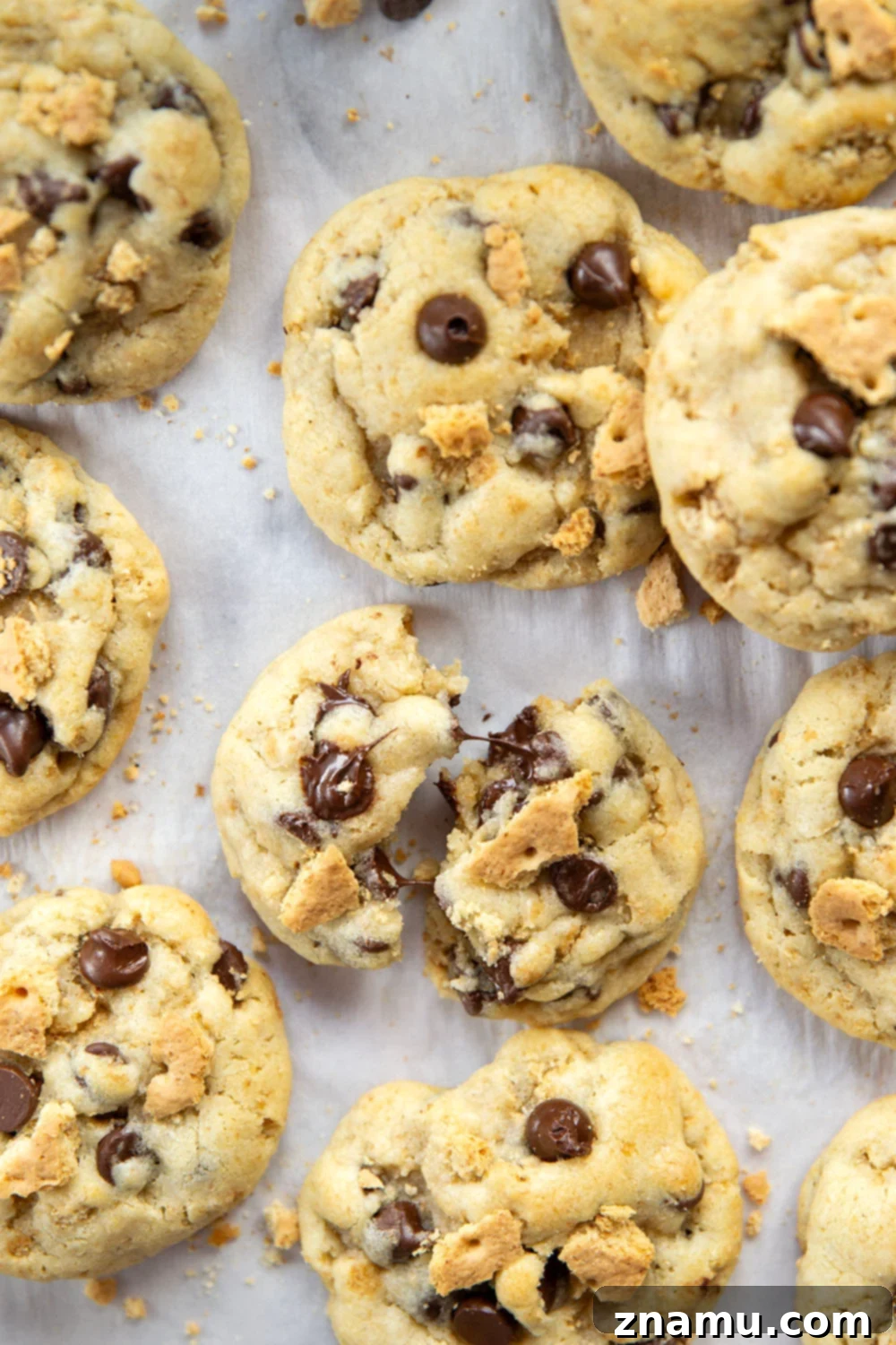 Golden Graham Chocolate Chip Cookies 4 Freshly baked graham cracker chocolate chip cookie on a cooling rack