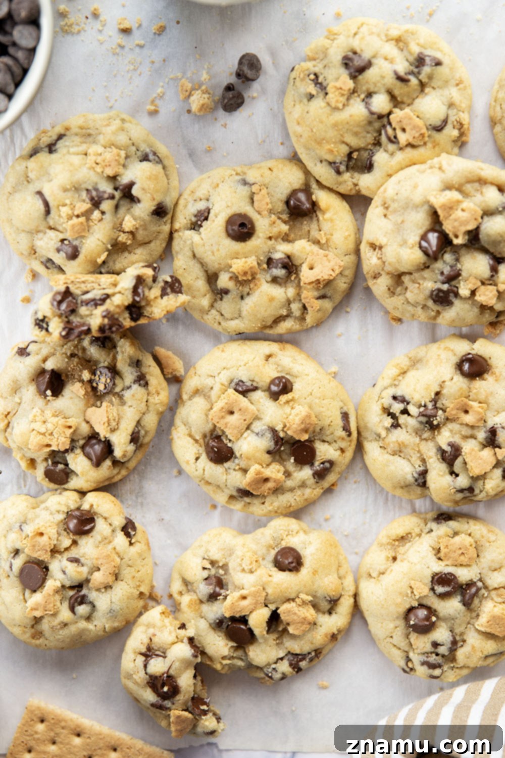 Golden Graham Chocolate Chip Cookies 6 Perfectly baked graham cracker chocolate chip cookie with a bite taken out, showing its soft interior