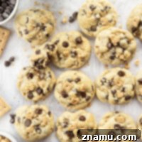 Golden Graham Chocolate Chip Cookies 8 Graham Cracker Chocolate Chip Cookies - recipe image