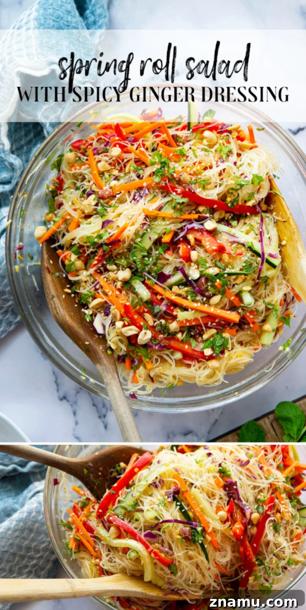 Vibrant Spring Roll Salad with Zesty Ginger Dressing 7 An aerial shot of a large bowl of spring roll salad, highlighting the generous portion and inviting presentation, perfect for sharing or a family meal.
