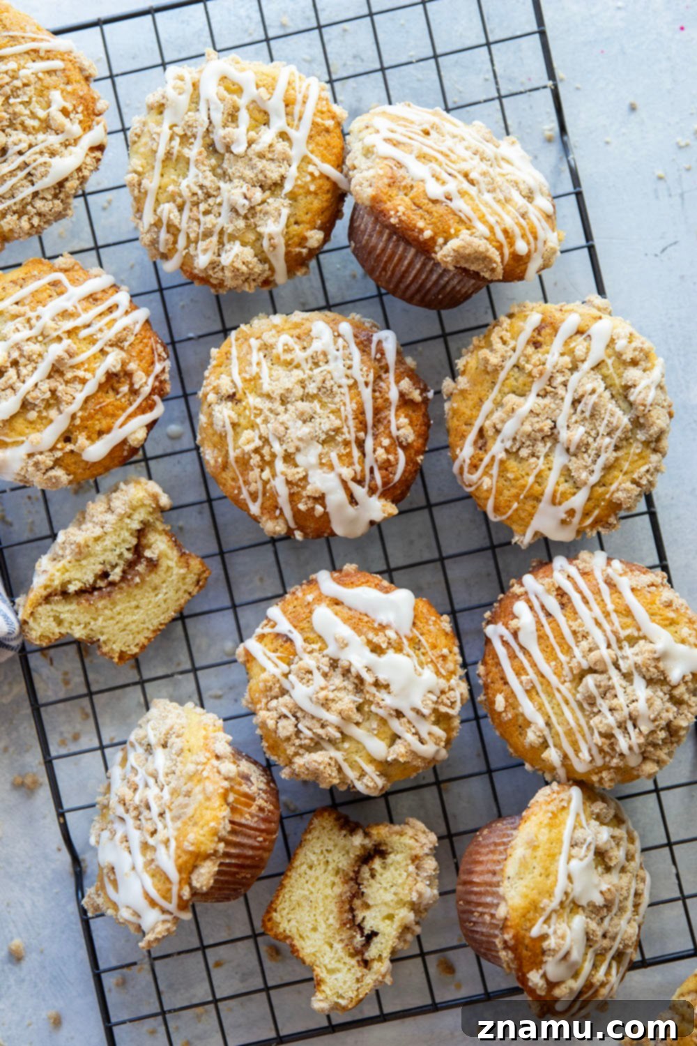 Streusel Coffee Cake Muffins 3 Close-up of a freshly baked Coffee Cake Muffin, showing the rich streusel and a hint of the cinnamon sugar swirl inside.