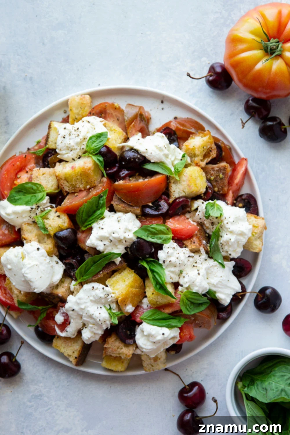 Vibrant Burrata & Cherry Panzanella 3 Close-up of Cherry Burrata Panzanella Salad, showcasing fresh burrata, ripe cherries, heirloom tomatoes, and toasted bread cubes.