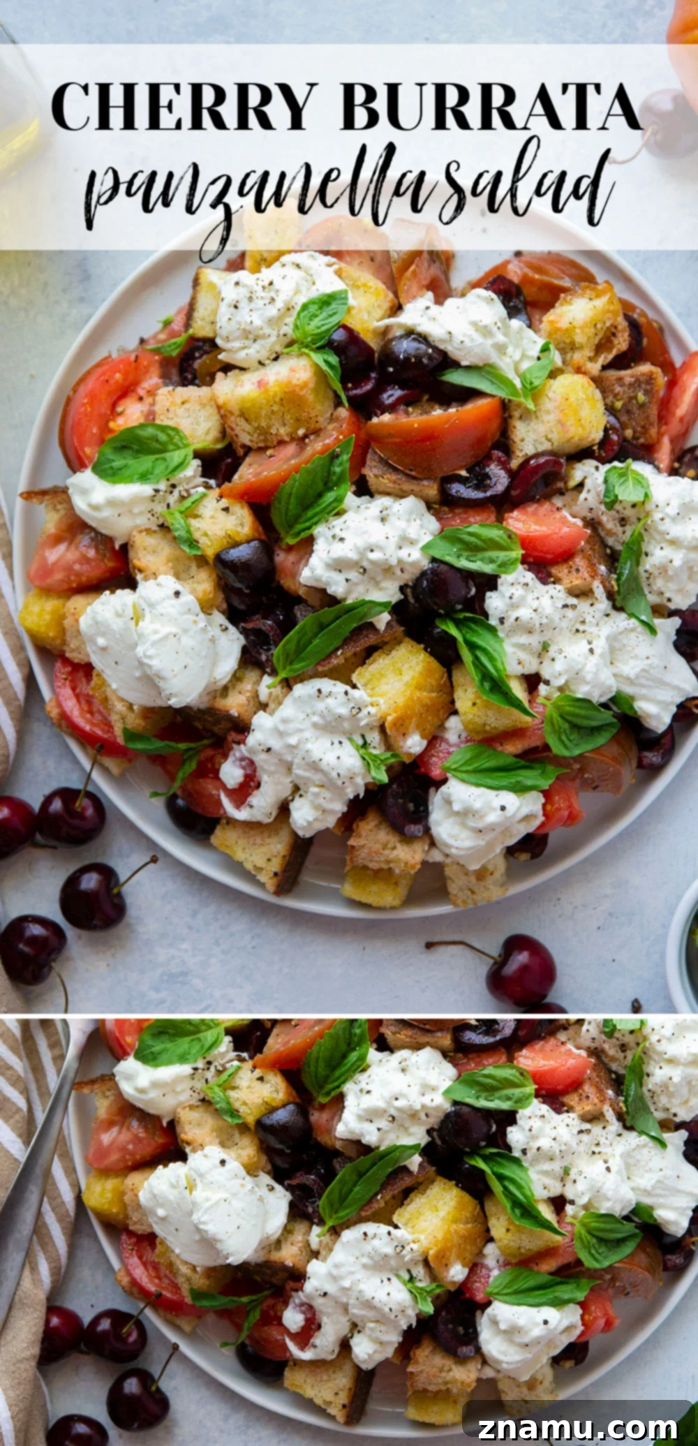 Vibrant Burrata & Cherry Panzanella 7 Delicious Cherry Burrata Panzanella Salad ready to be served, perfect for any summer occasion.