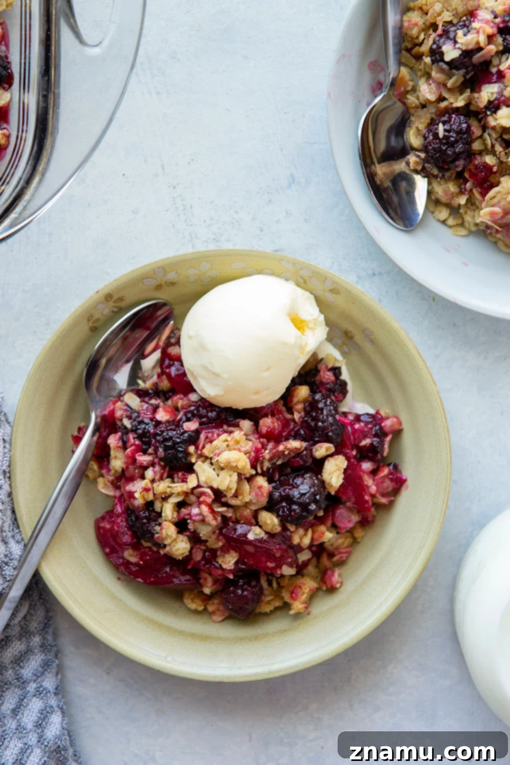 Ruby Harvest Crisp 2 A close-up shot of a warm Blackberry Plum Crisp, topped with a scoop of melting vanilla ice cream and a sprinkle of fresh blackberries. The crisp has a golden, crumbly oatmeal streusel topping and a rich, purple fruit filling bubbling beneath.